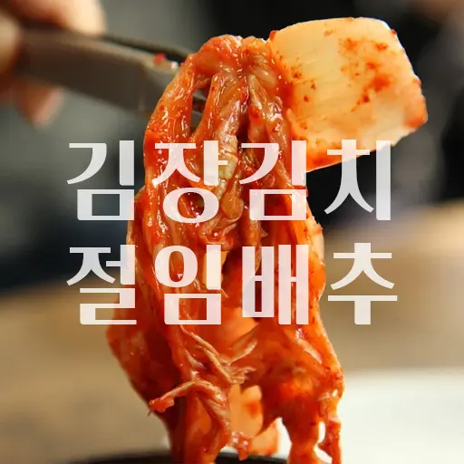 김장김치 절임배추 구매 및 백종원 김치 만들기 유튜브 영상
