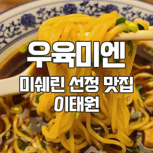 우육미엔 서울 한남동 이태원 3년 연속 미쉐린 선정 대만 음식 맛집 내돈내산