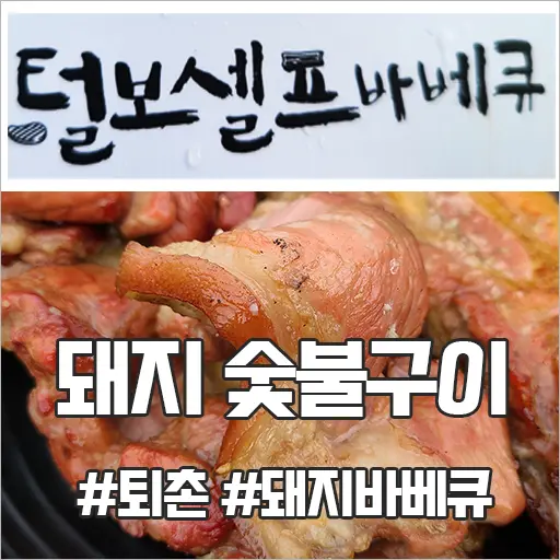 퇴촌 털보셀프바베큐 서울 인근 야외 바베큐 숯불구이 맛집 내돈내먹 후기