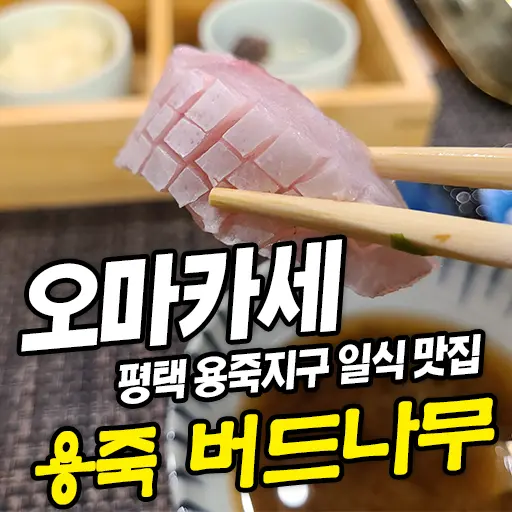 버드나무 평택 용죽지구 오마카세 전문점 일식 맛집