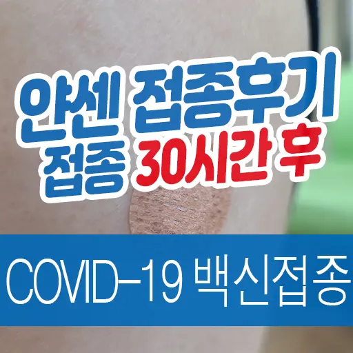 코로나19 백신 얀센 백신 접종 30시간 경과 후기 (주요 시간대별 증상)