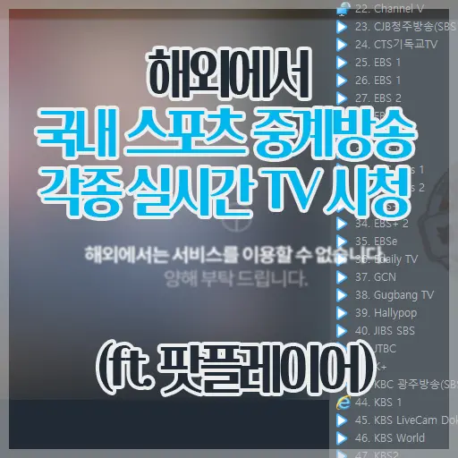 해외에서 국내 스포츠 중계방송 및  각종 실시간 TV 시청 방법 (ft. 팟플레이어)