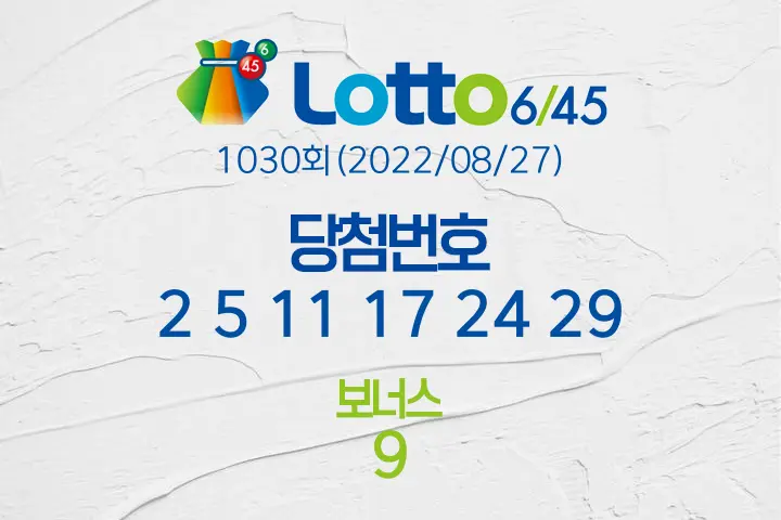 로또당첨번호조회 1030회(2022/08/27) 로또당첨번호 2 5 11 17 24 29 보너스 9, 로또1등당첨지역