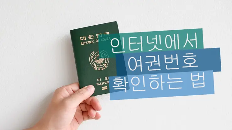 인터넷에서 본인 여권번호 조회 방법 (출입국에 관한 사실증명, 공동인증서 필요)