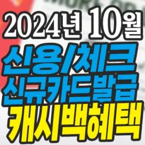 2024년 10월 신용카드 체크카드 신규발급 혜택