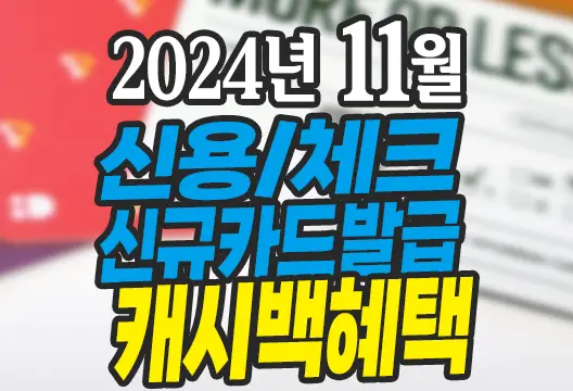 2024년 11월 신용카드 체크카드 신규발급 혜택