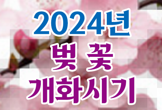 2024년 벚꽃 개화시기 만개시기 벚꽃놀이명소 전국벚꽃축제 안내