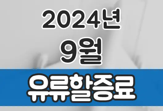 2024년 9월 대한항공 아시아나항공 유류할증료 국제선 국내선