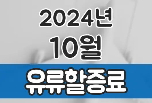 2024년 10월 대한항공 아시아나항공 유류할증료 국제선 국내선