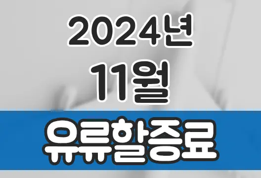 2024년 11월 대한항공 아시아나항공 유류할증료 국제선 국내선