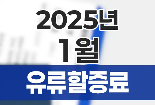 2025년 1월 대한항공 아시아나항공 유류할증료 국제선 국내선