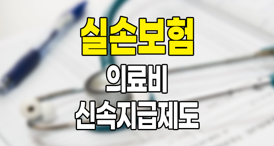 실손보험 의료비 신속지급제도 안내