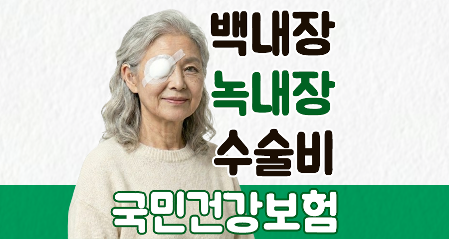 2026년 백내장·녹내장 수술비, ‘건강보험’과 ‘지자체 혜택’으로 90% 아끼는 법